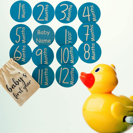 Baby Monthly Milestone Marker | Acrylic Monthly Milestone Disc | Baby Monthly Photo Prop Custom Milestone Card | Milestone Marker